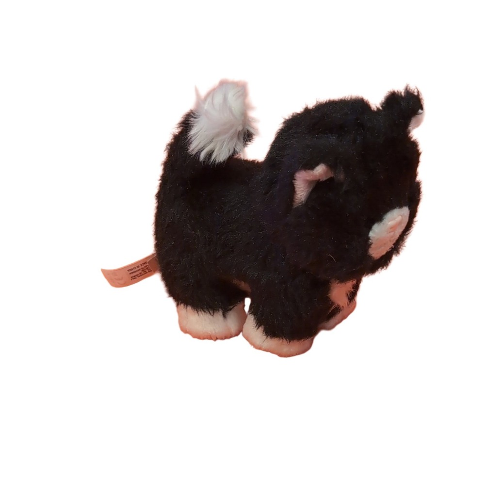 American Girl Truly Me Tuxedo Cat Kitten 5 in Retired Poseable Plush Toy FRM45